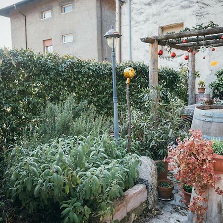 B&B Pedelmont Mezzocorona Buitenkant foto